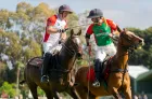 Début à Rabat de la 6è édition du Trophée International Mohammed VI de Polo