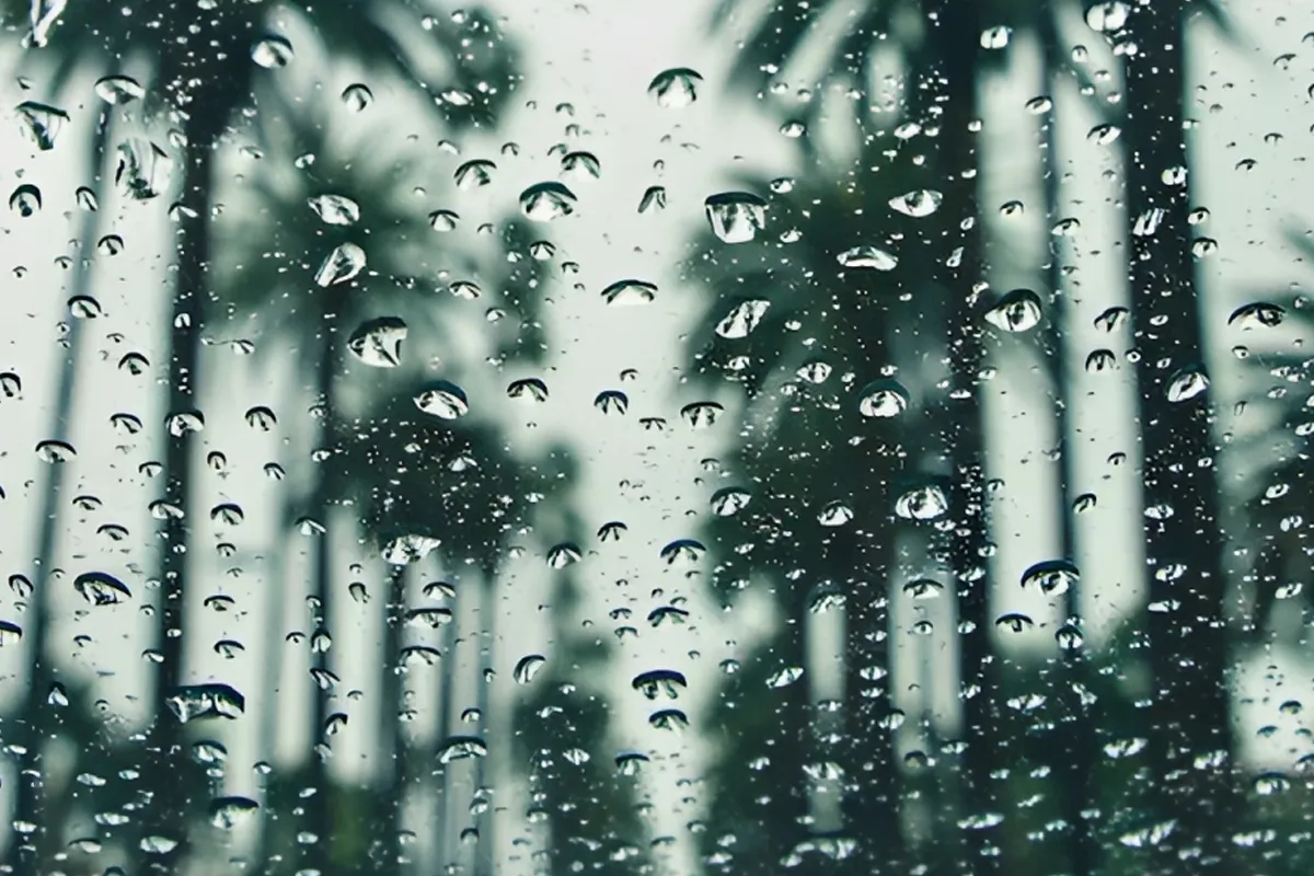 Hauteur de pluies