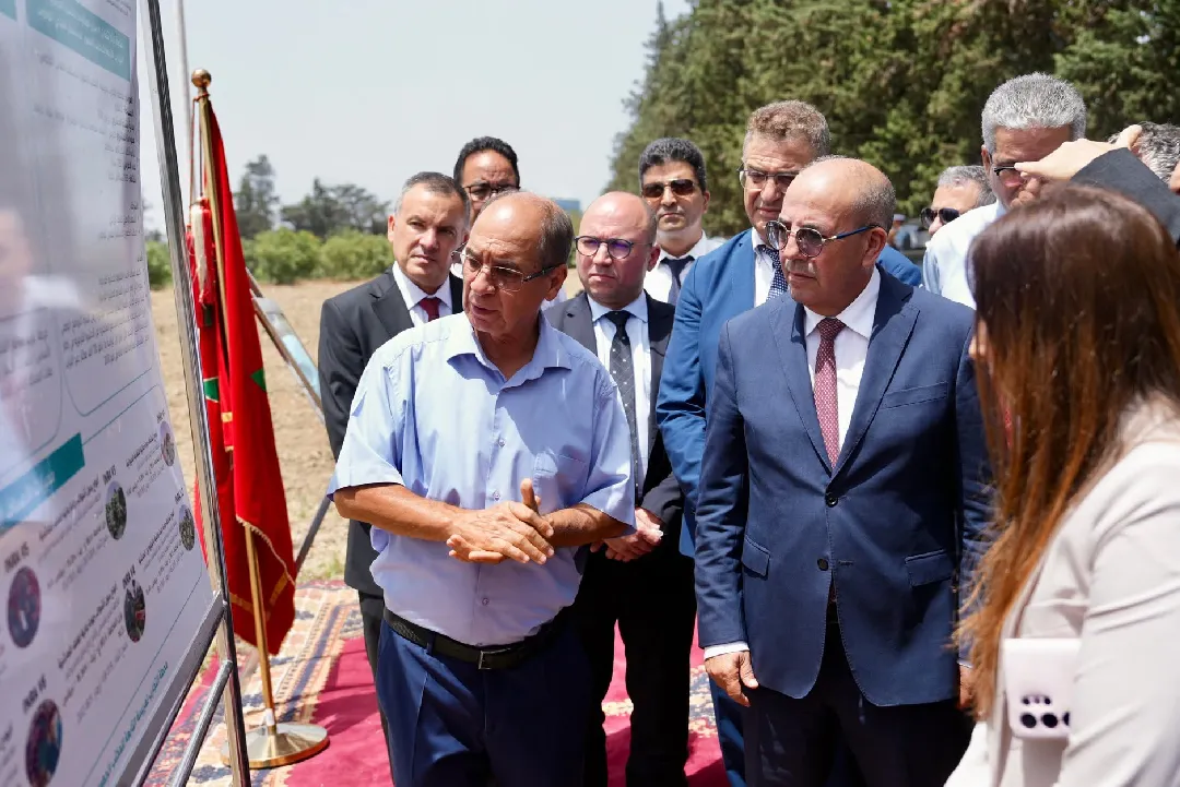M. El Bouari préside le Conseil d'administration de l’Office régional de mise en valeur agricole du Loukkos