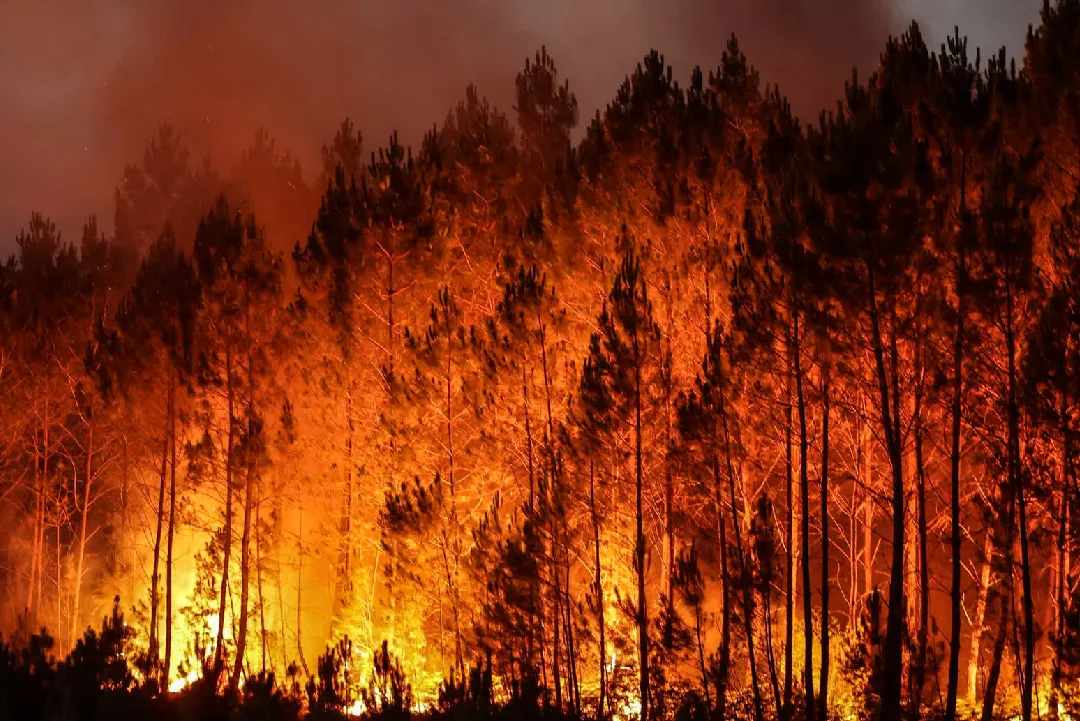 Canada : Plus de 300 millions de dollars pour renforcer la lutte aérienne contre les feux de forêt