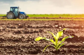 Activités primaires : des conditions climatiques exceptionnelles qui annoncent une meilleure campagne agricole (DEPF)