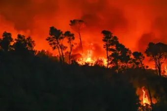 Feux de forêt en France: Quatre départements du sud-est en danger "très élevé"