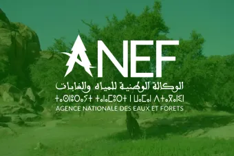 L'ANEF publie une carte des zones à risque des incendies de forêts pour la période allant du 26 au 29 mai