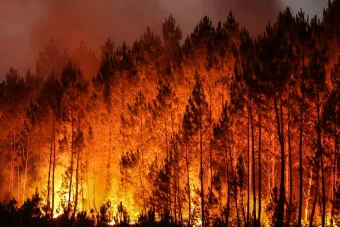 Canada : Plus de 300 millions de dollars pour renforcer la lutte aérienne contre les feux de forêt