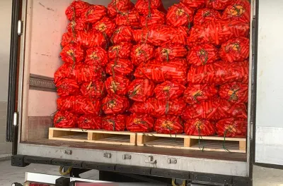 El Guergarat: mise en échec d'une tentative de trafic de 569 kg de chira