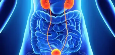 Le 7ème Congrès international d'oncologie génito-urinaire, le 31 janvier à Fès