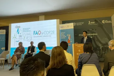 Dubaï: Une rencontre organisée à l'initiative de l'ANDZOA recommande la création d'une alliance internationale pour accompagner les développement des oasis