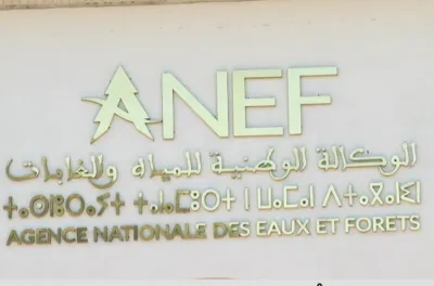 COP15 Ramsar : Le Maroc réaffirme son engagement pour les zones humides et déjoue une tentative de politisation de la Convention