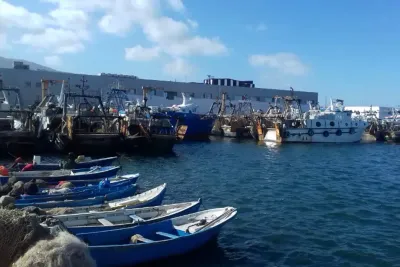 la CNSS lance sa plateforme Portail DAMAN BAHRI pour simplifier les démarches auprès de ses affiliés du secteur de la pêche maritime