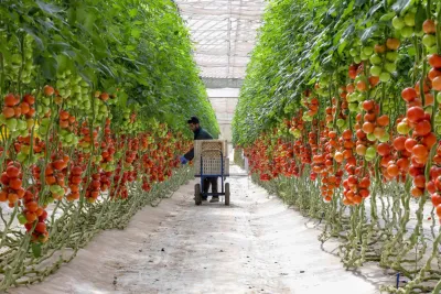 M. Sadiki: Nécessité de l'investissement public pour créer une dynamique économique, agricole et rurale