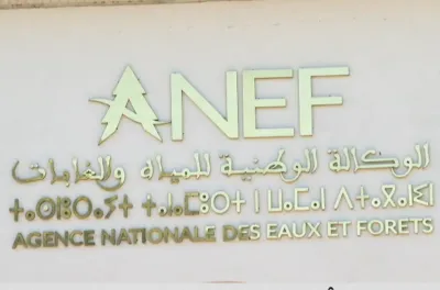 L’ANEF dévoile le Plan directeur d'investissement relatif à la stratégie "Forêts du Maroc 2020-2030"