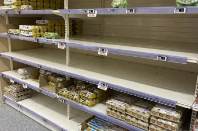 France: pénurie d'œufs en rayons en raison d'une forte demande