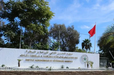 Des étudiants palestiniens saluent le soutien apporté par SM le Roi Mohammed VI à l'enseignement à Gaza