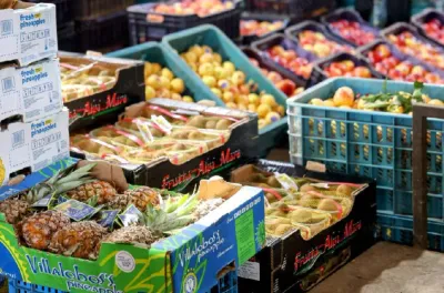 Ksar El Kébir: Le marché de gros des fruits et légumes reprend son activité après l’amélioration des conditions météorologiques