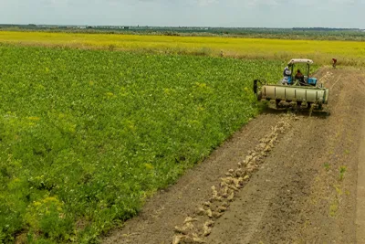 La FIMASUCRE obtient un appui financier supplémentaire au profit des agriculteurs de la filière sucrière