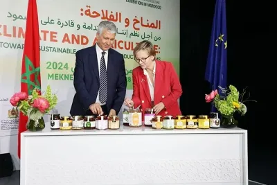 Le miel marocain à la conquête de l'Europe