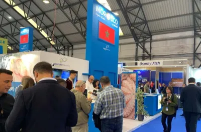 Mise en valeur du potentiel exportable du Maroc : "Morocco Foodex" envisage de créer une plateforme digitale en 2025 (rapport)