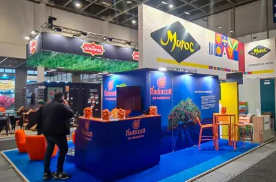 La Nadorcott, cette variété marocaine de mandarine, star du "Fruit Logistica" de Berlin