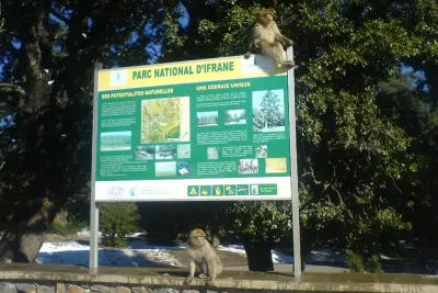 Appel à manifestation d’intérêt pour l’aménagement et la valorisation écotouristique du parc national d’Ifrane