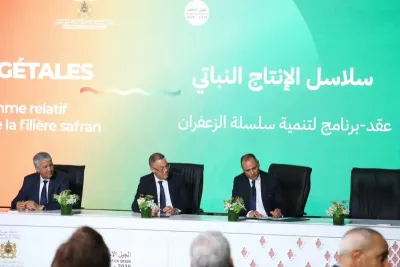 Développement des filières de production agricole: Signature de 19 contrat-programmes d'un montant de 110 MMDH