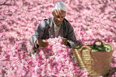 Salon international de la rose à parfum : Clôture de la 58ème Edition de Kelâat M'Gouna
