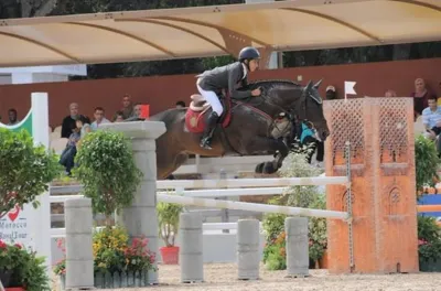 Concours officiel de saut d'obstacles 3* de la Garde Royale: Le cavalier Saad Jabri remporte le Prix de SAR le Prince Héritier Moulay El Hassan