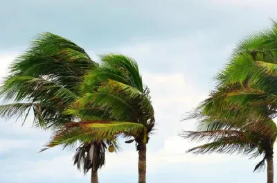 Fortes rafales de vent et tempête de sables ou de poussières, vendredi et samedi dans le sud du Royaume (bulletin d'alerte)