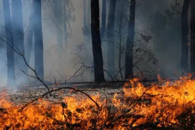 Incendies en Espagne : plus de 88.500 personnes affectées et 45.000 hectares ravagés