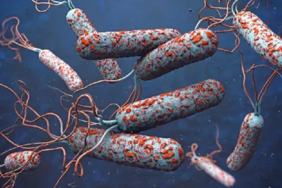 Le Nigeria et l’OMS unissent leurs efforts pour endiguer la propagation du choléra