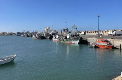 Port de Tarfaya : Hausse de 42 % des débarquements de la pêche à fin juillet (ONP)