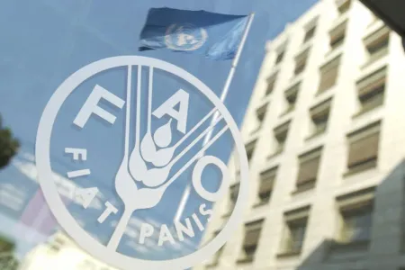 La FAO et l'UE lancent une initiative conjointe pour aider les agriculteurs en Afghanistan