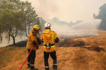 Incendies en France: "situation très sévère dans le Var", 1.250 ha ravagés (ministre)