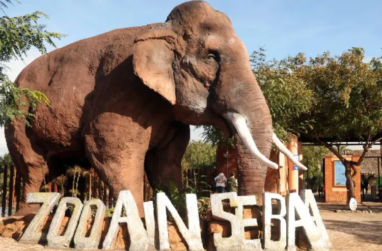 Le parc zoologique d’Aïn Sebaâ