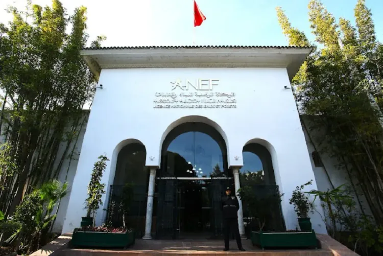 L'aménagement de la forêt de Sala Al Jadida s’inscrit dans une dynamique nationale ambitieuse conjuguant régénération écologique et équipements modernes (ANEF)