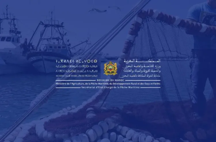 Pêche/Conformité : Le Maroc obtient la reconnaissance officielle de l’Administration Nationale Américaine des Océans et de l’Atmosphère (Secrétariat d’État)