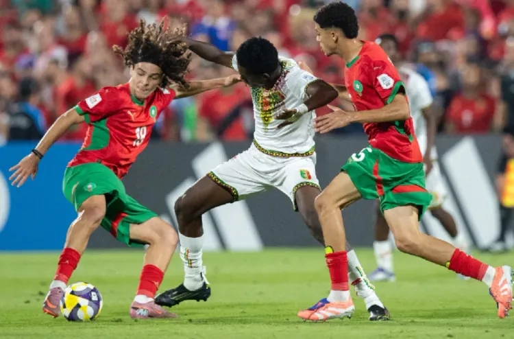 Les Lionceaux de l’Atlas