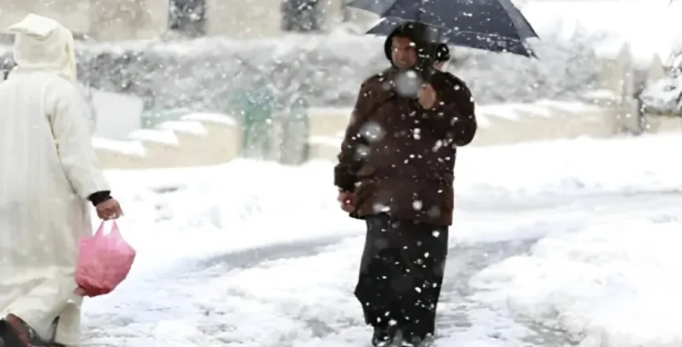 نشرة إنذارية