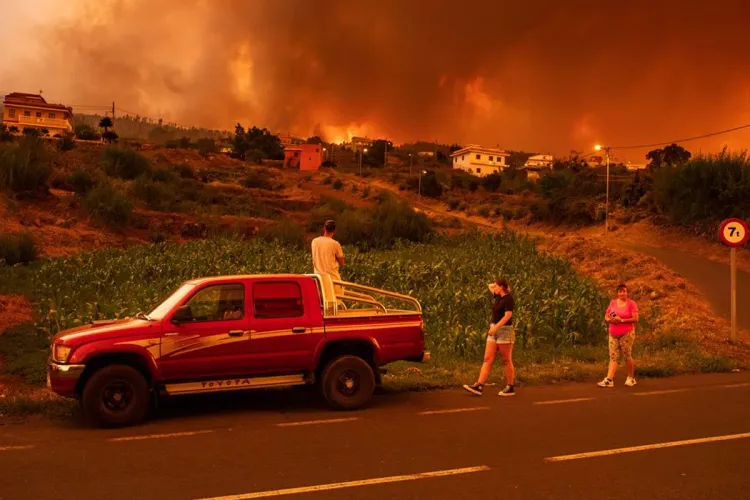 Feu de forêt en Espagne : Près de 14.000 hectares partent en fumée à Tenerife