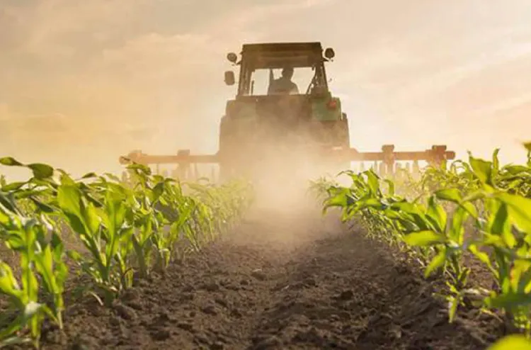 Al Moutmir : plus de 1.102 plateformes de démonstration en 2024-2025 au profit de plus de 275 agriculteurs