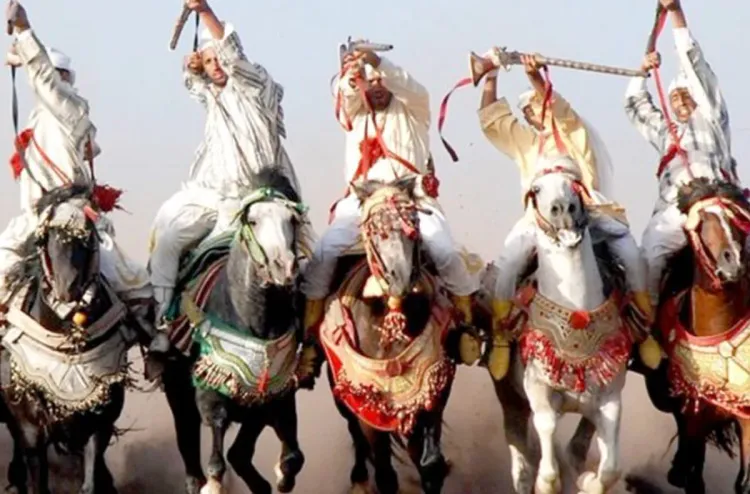 Arts équestres - Tbourida