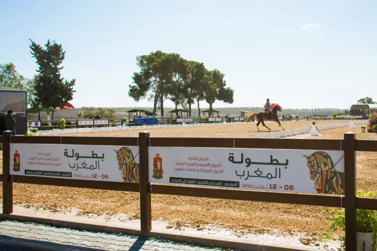 Championnat du Maroc de dressage (2)