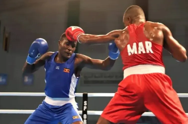 Championnats d'Afrique de boxe: Le Maroc champion avec 13 médailles au total