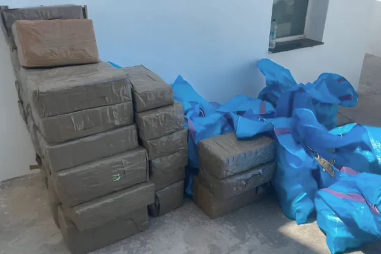 Port Tanger-Med: Mise en échec d'une opération de trafic international de 3,255 tonnes de chira