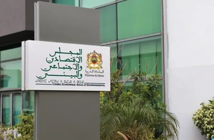 Le CESE appelle à intégrer la protection numérique dans les objectifs de la politique intégrée de protection de l’enfance