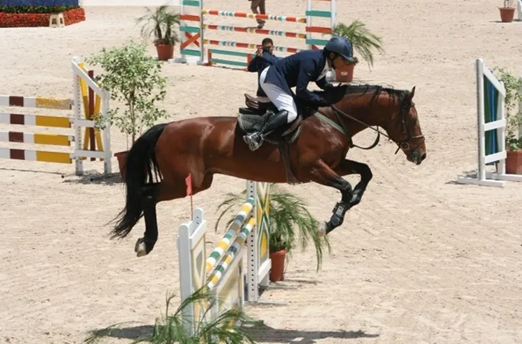 Morocco Royal Tour de saut d'obstacles: la sélection belge remporte la Coupe des Nations 2023