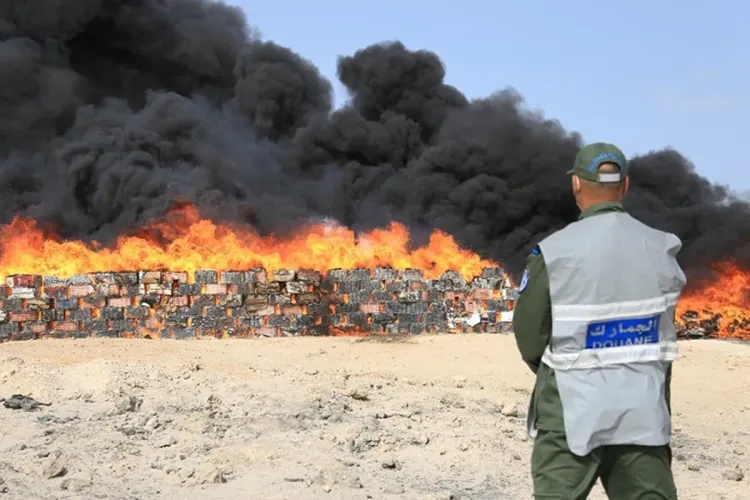Dakhla: Plus de 3,4 tonnes de chira et de produits de contrebande incinérées