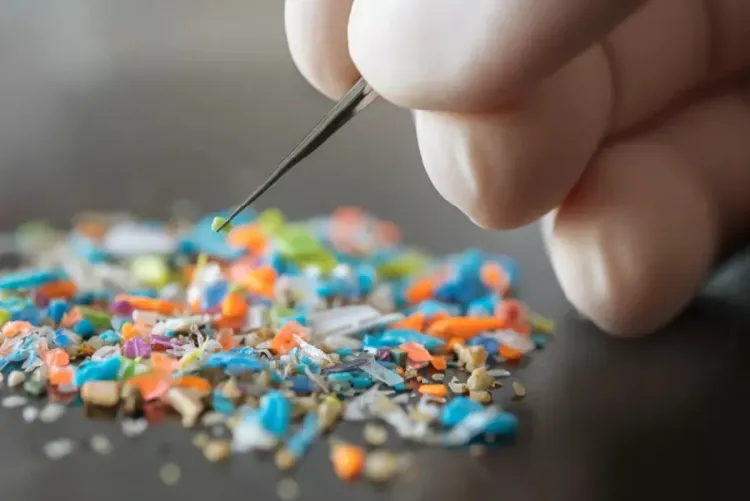 Des scientifiques chinois et américains développent une méthode permettant de transformer les déchets plastiques en essence