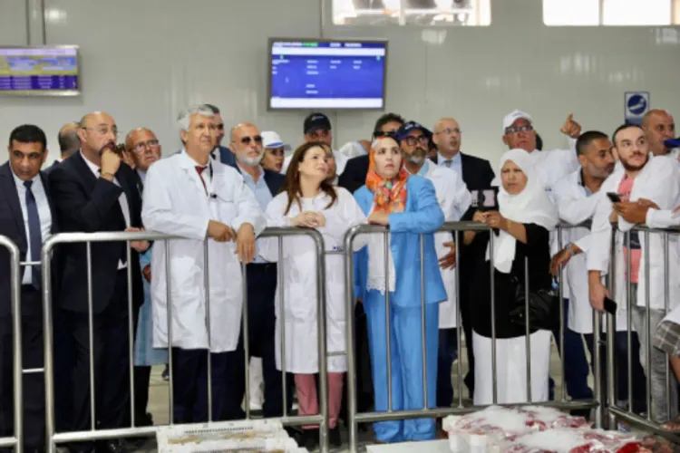 Tanger : M. Sadiki lance les travaux de construction de la première écloserie de poissons marins au Maroc