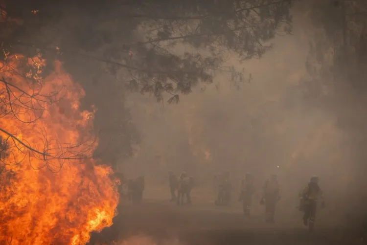 Espagne_ 343.000 hectares partis en fumée depuis le début de l'année