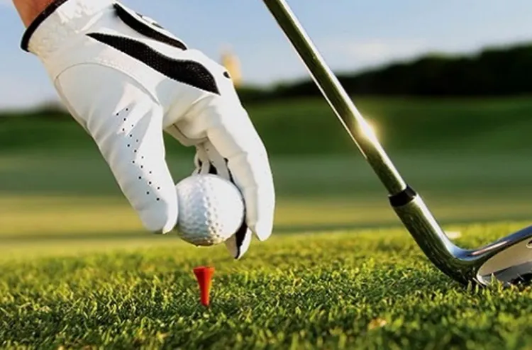 Fédération arabe de golf